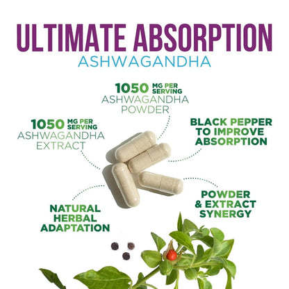 Ashwagandha Supplements - High-Absorption Ashwagandha Root Extract Powder with Black Pepper for Max Absorption - Herbal Supplement for Women & Men, Vegan & Gluten Free, Bottled in USA - 60 Capsules - NEXASHOP