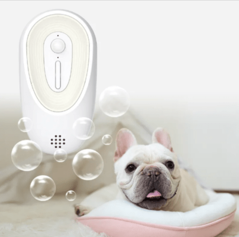 Pet Odor Eliminator for Litter Boxes - FOUNDERS INC